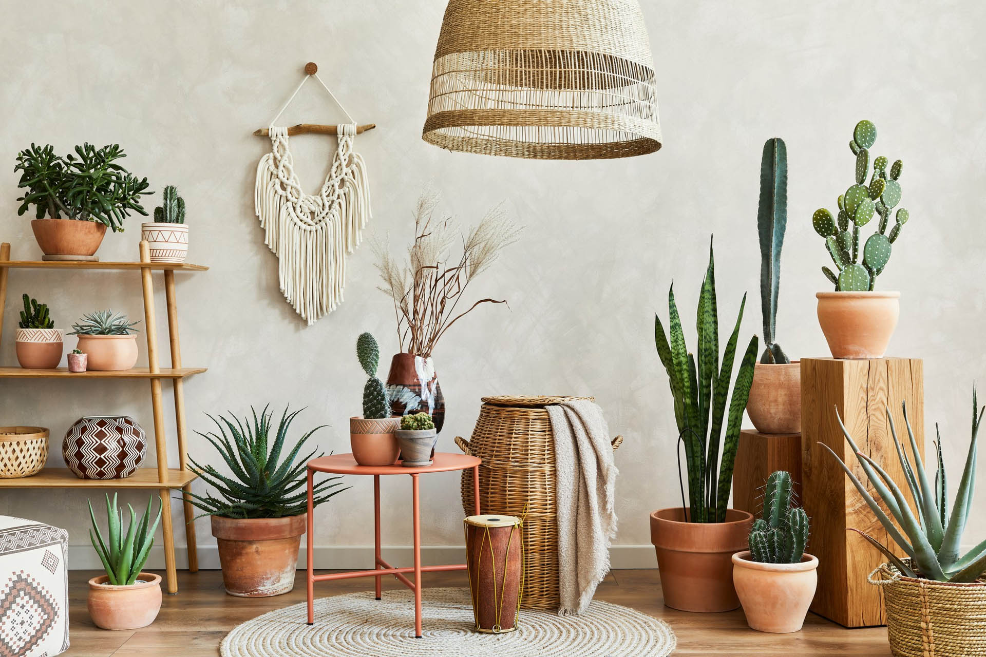 composition-living-room-interior-with-copy-spaceplants-cacti-boho-accessories-template